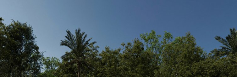 Hús · Nýbygging - Alfaz del Pi · Alicante · Spánn