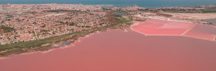 Sérhæðir · Nýbygging - Torrevieja · Alicante · Spánn