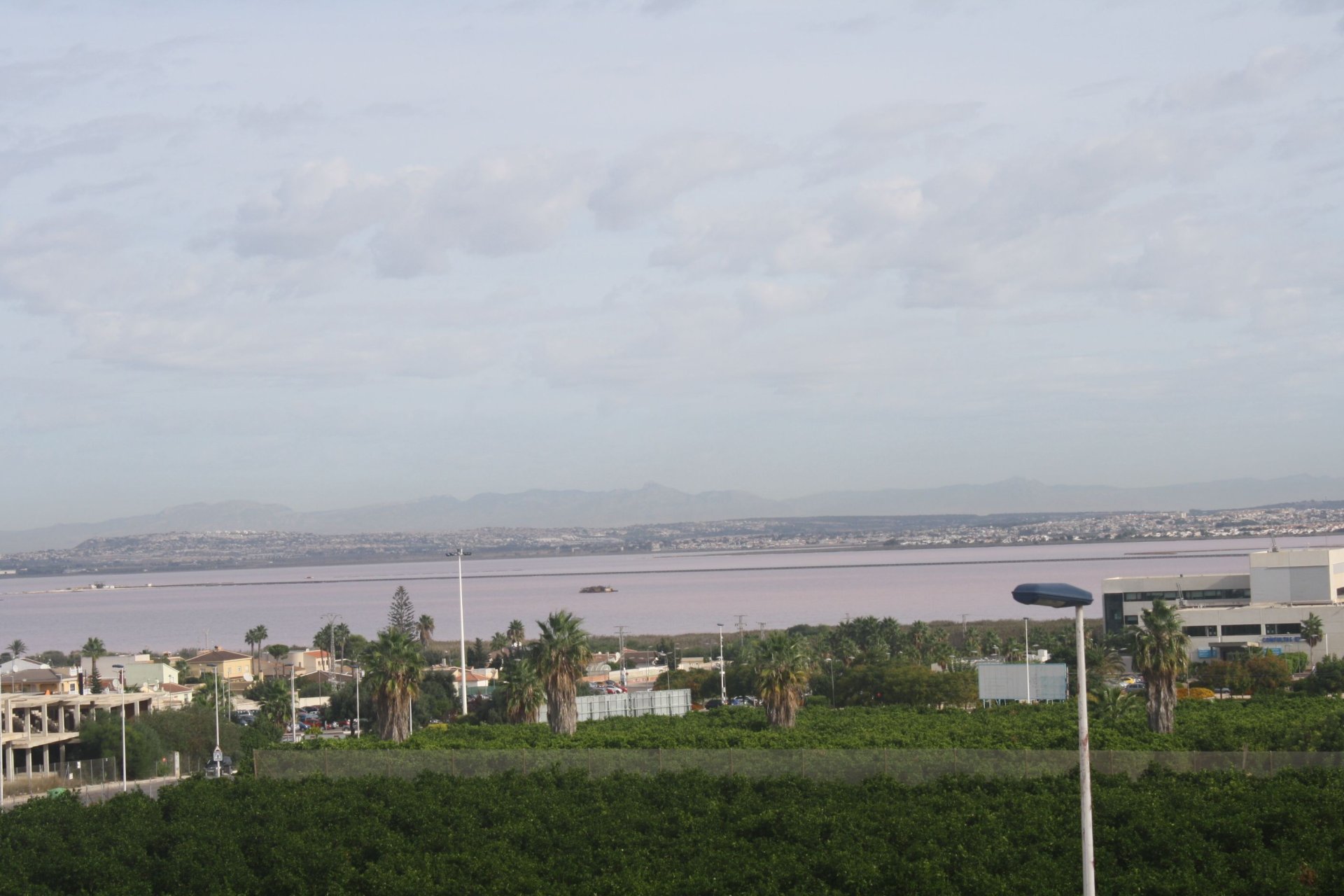Nýbygging - Parhús - Torrevieja