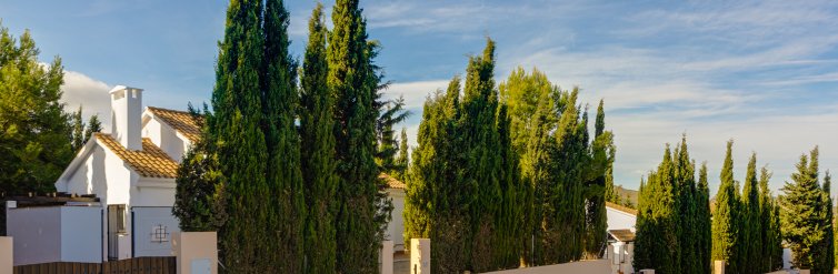 House · New Build - Fuente Alamo · Murcia · Spain