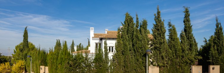 House · New Build - Fuente Alamo · Murcia · Spain