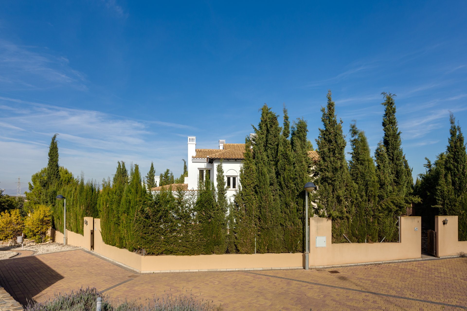 Obra nueva - Casa - Fuente Alamo