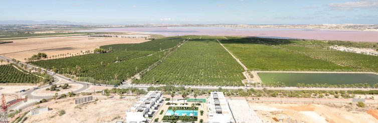 Bungalow · Obra nueva - Torrevieja · Alicante · España