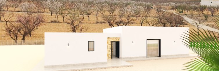 Hús · Nýbygging - Pinoso · Alicante · Spánn