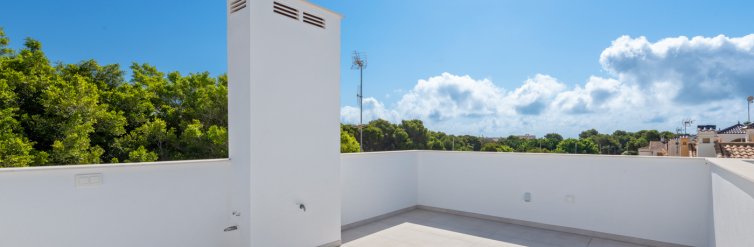 House · New Build - Mil Palmeras · Alicante · Spain