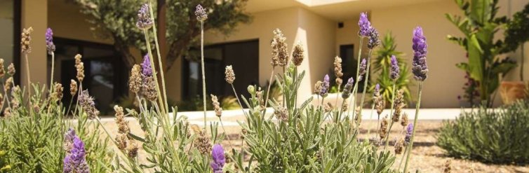 House · New Build - La Marina · Alicante · Spain