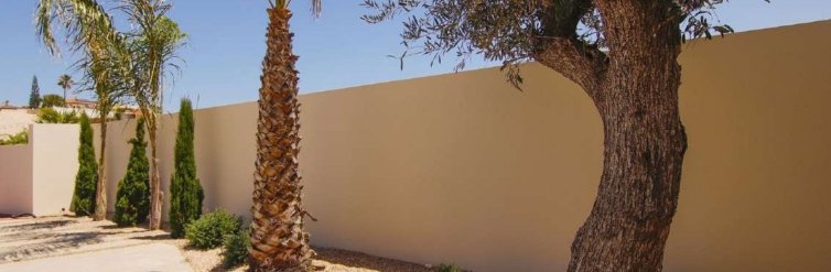 House · New Build - La Marina · Alicante · Spain