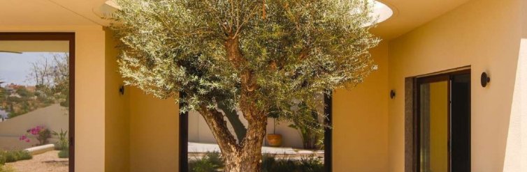 House · New Build - La Marina · Alicante · Spain