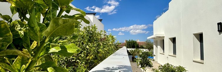 House · New Build - Benijofar · Alicante · Spain